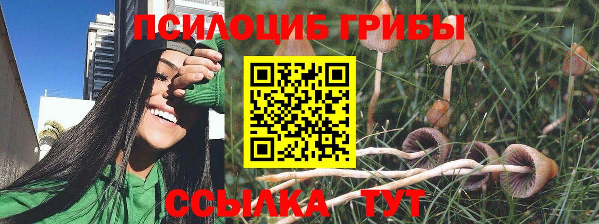 Псилоцибиновые грибы GOLDEN TEACHER Джанкой