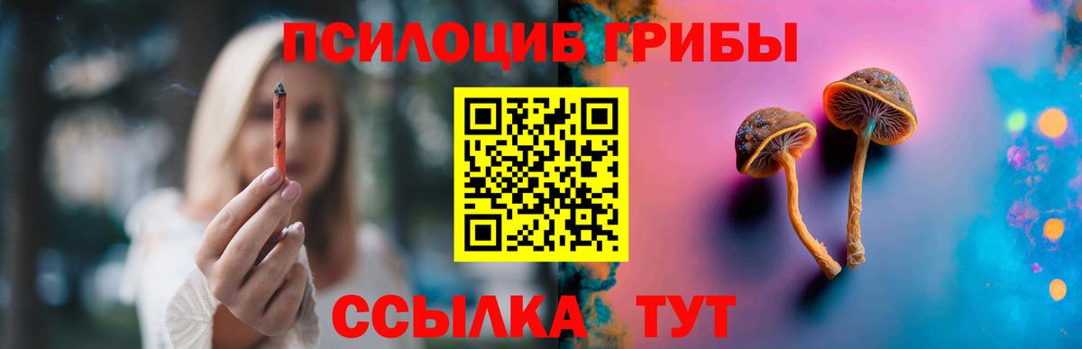 Псилоцибиновые грибы MAGIC MUSHROOMS  Галлюциногенные грибы Cubensis  Джанкой  Вход с VPN 